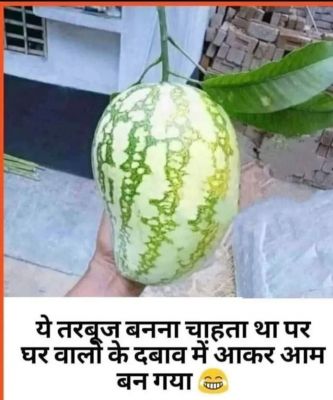 सोशल मीडिया
