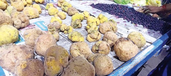छत्तीसगढ़ की धड़कन और हलचल पर दैनिक कॉलम : राजपथ-जनपथ : इस साग का नाम तो जानते ही होंगे आप...