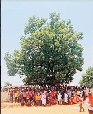 छत्तीसगढ़ की धड़कन और हलचल पर दैनिक कॉलम : राजपथ-जनपथ : एक पेड़ का महत्व तुम क्या जानो...