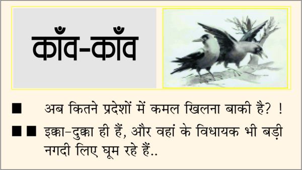 दैनिक 'छत्तीसगढ़' का काँव-काँव, 2 अगस्त