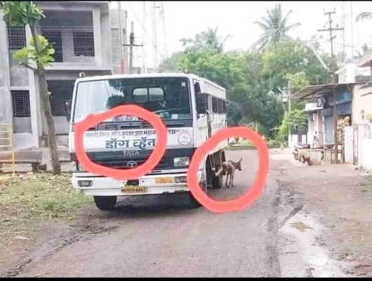 सोशल मीडिया