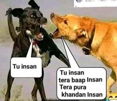 सोशल मीडिया