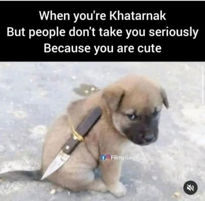 सोशल मीडिया