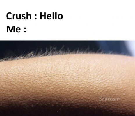 सोशल मीडिया