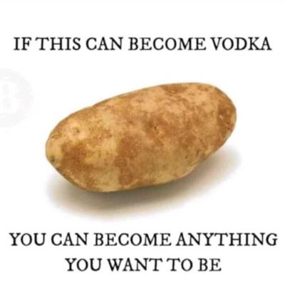 सोशल मीडिया