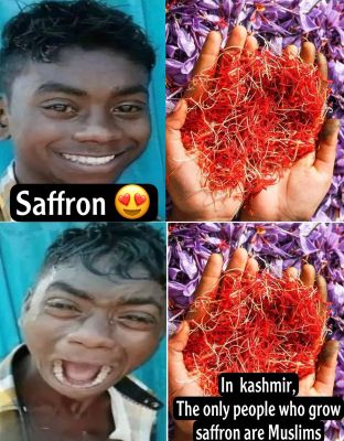 सोशल मीडिया