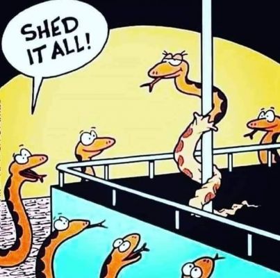 सोशल मीडिया