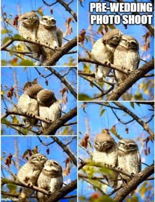 सोशल मीडिया