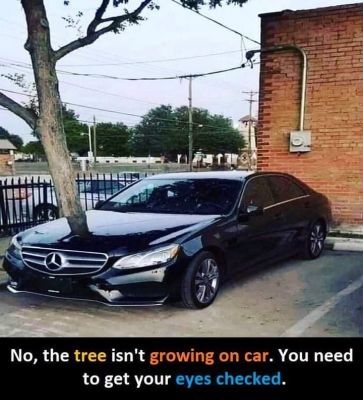 सोशल मीडिया