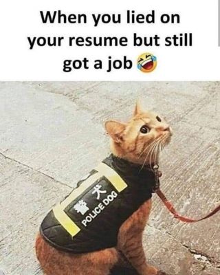 सोशल मीडिया