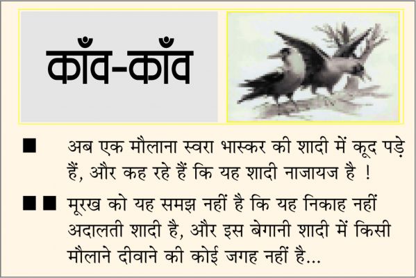 दैनिक 'छत्तीसगढ़' का काँव-काँव, 19 फरवरी