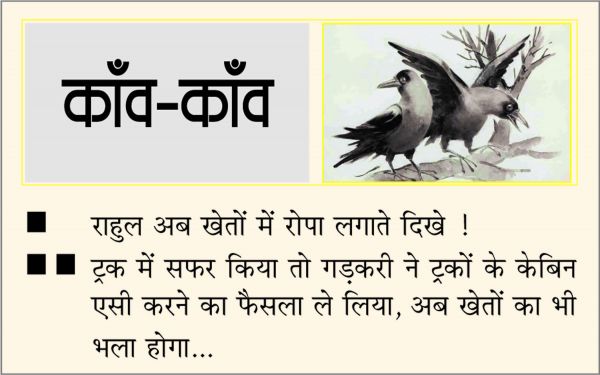 दैनिक 'छत्तीसगढ़' का काँव-काँव, 8 जुलाई