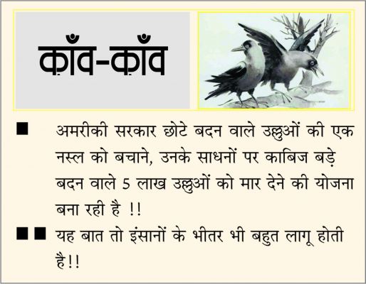 दैनिक 'छत्तीसगढ़' का काँव-काँव, 11 जुलाई