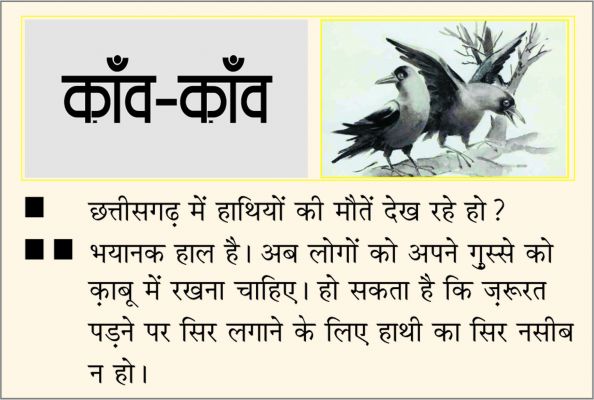 दैनिक 'छत्तीसगढ़' का काँव-काँव, 13 नवंबर