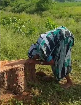 राजपथ-जनपथ : पेड़ के लिए मां का विलाप