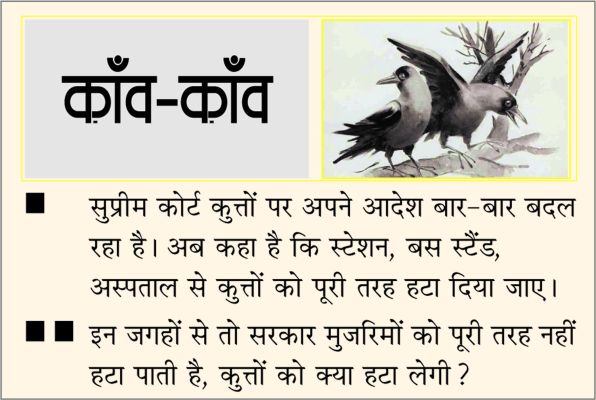 दैनिक 'छत्तीसगढ़' का काँव-काँव, 07 नवंबर 2025