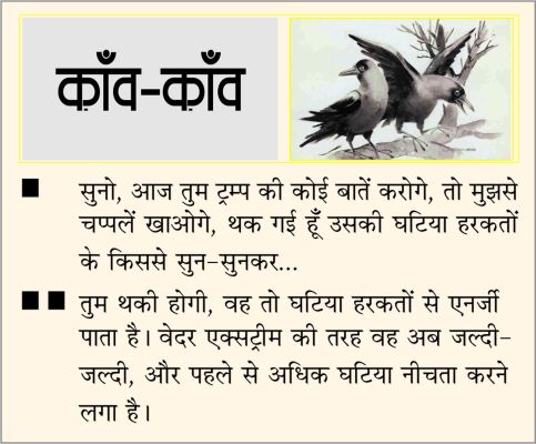 दैनिक 'छत्तीसगढ़' का काँव-काँव, 11 जनवरी 2026