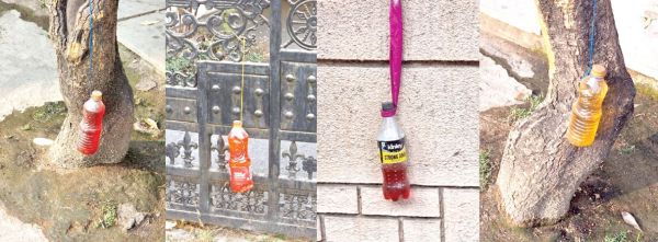 राजपथ-जनपथ : कुत्ते, इंसान, और रंग