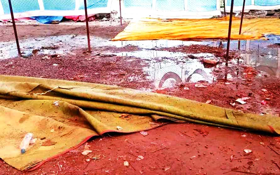 रायपुर-महासमुंद हाईवे पर गिरा पेड़ रायपुर-महासमुंद हाईवे पर गिरा पेड़