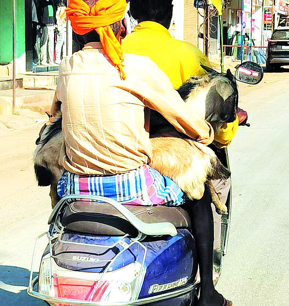 धोखे वाली फोटो धोखे वाली फोटो