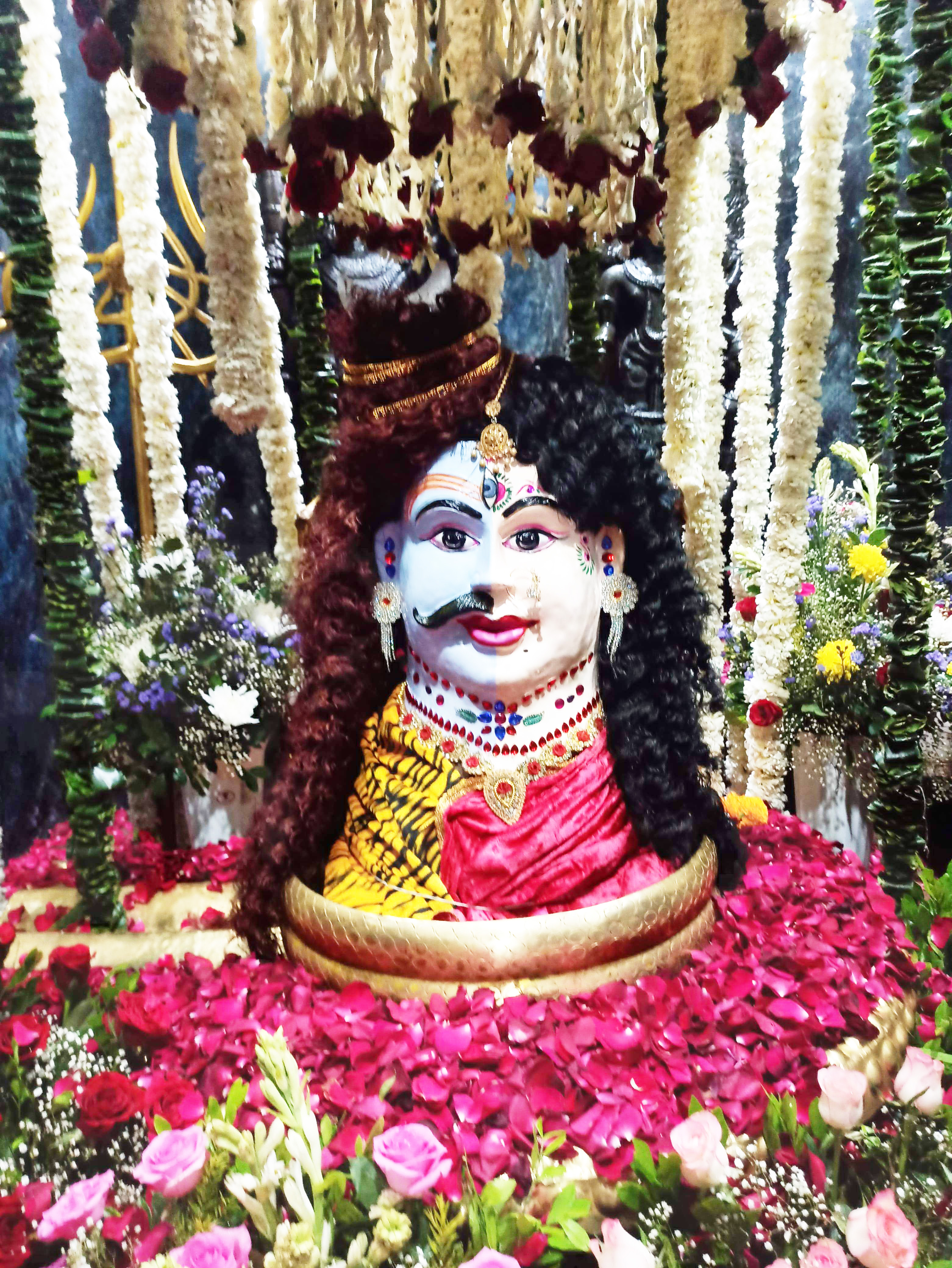 राजधानी समेत पूरे छत्तीसगढ़ में महाशिवरात्रि उत्साह से मनाया गया। महादेव घाट स्थित हटकेशवर नाथ महादेव मंदिर में भोले बाबा का अद्र्धनारिश्वर रूप में विशेष श्रृंगार किया गया। इस मौके पर शिव मंदिरों में दर्शन के लिए श्रद्धालुओं की भारी भीड़ उमड़ी। राजधानी समेत पूरे छत्तीसगढ़ में महाशिवरात्रि उत्साह से मनाया गया। महादेव घाट स्थित हटकेशवर नाथ महादेव मंदिर में भोले बाबा का अद्र्धनारिश्वर रूप में विशेष श्रृंगार किया गया। इस मौके पर शिव मंदिरों में दर्शन के लिए श्रद्धालुओं की भारी भीड़ उमड़ी।