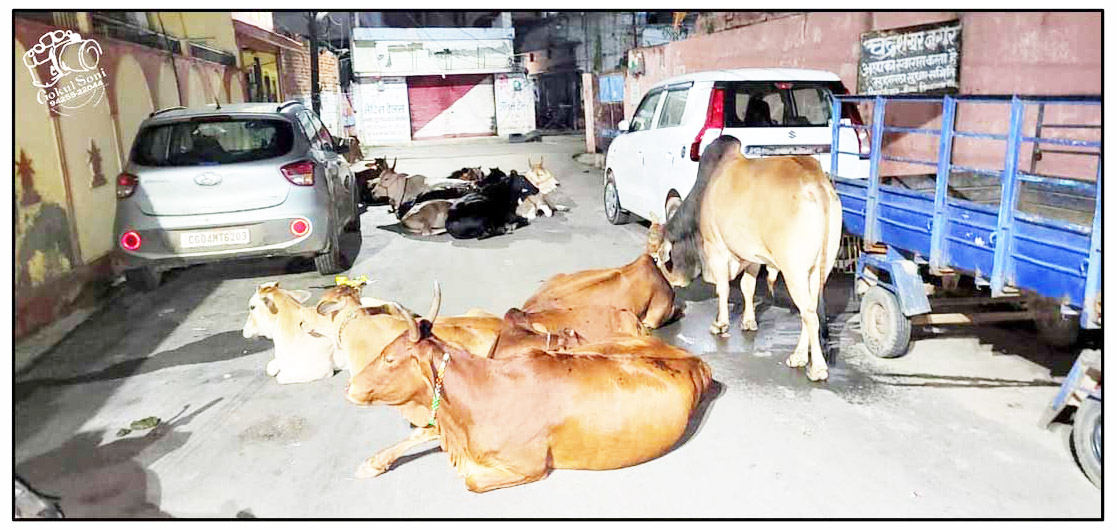 घर कैसे जाऊँ?