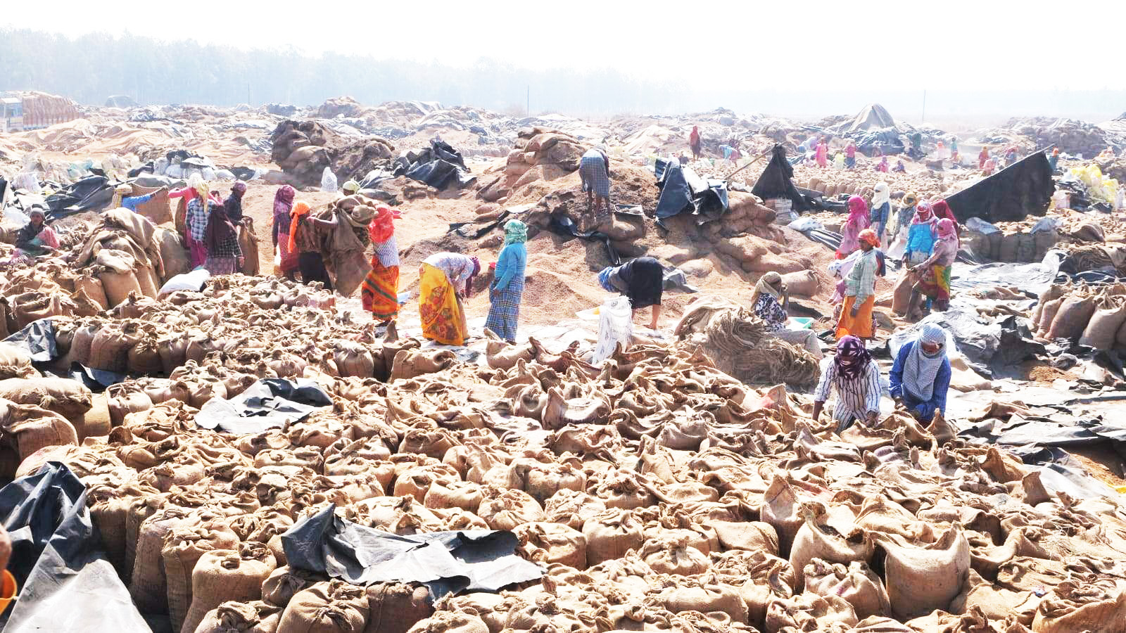 जगदलपुर के नियानार स्थित छत्तीसगढ़ राज्य सहकारी विपणन संघ मर्यादित, धान संग्रहण केंद्र कि यह तस्वीर, जहां पर खुले आम पुराने और सड़े हुए धन को नए धानों में मिलाकर उसे बोर में बंद कर ट्रैकों में लोडक़र राइस मिलर के मिलिंग के लिए भेजा जा रहा है जहां से वह चावल बनाकर पीडीएस की दुकानों में जाएगा और वहां से राशन दुकान के माध्यम से लोगों तक पहुंचेगा। तस्वीर / ‘छत्तीसगढ़’ / विमल मिंज