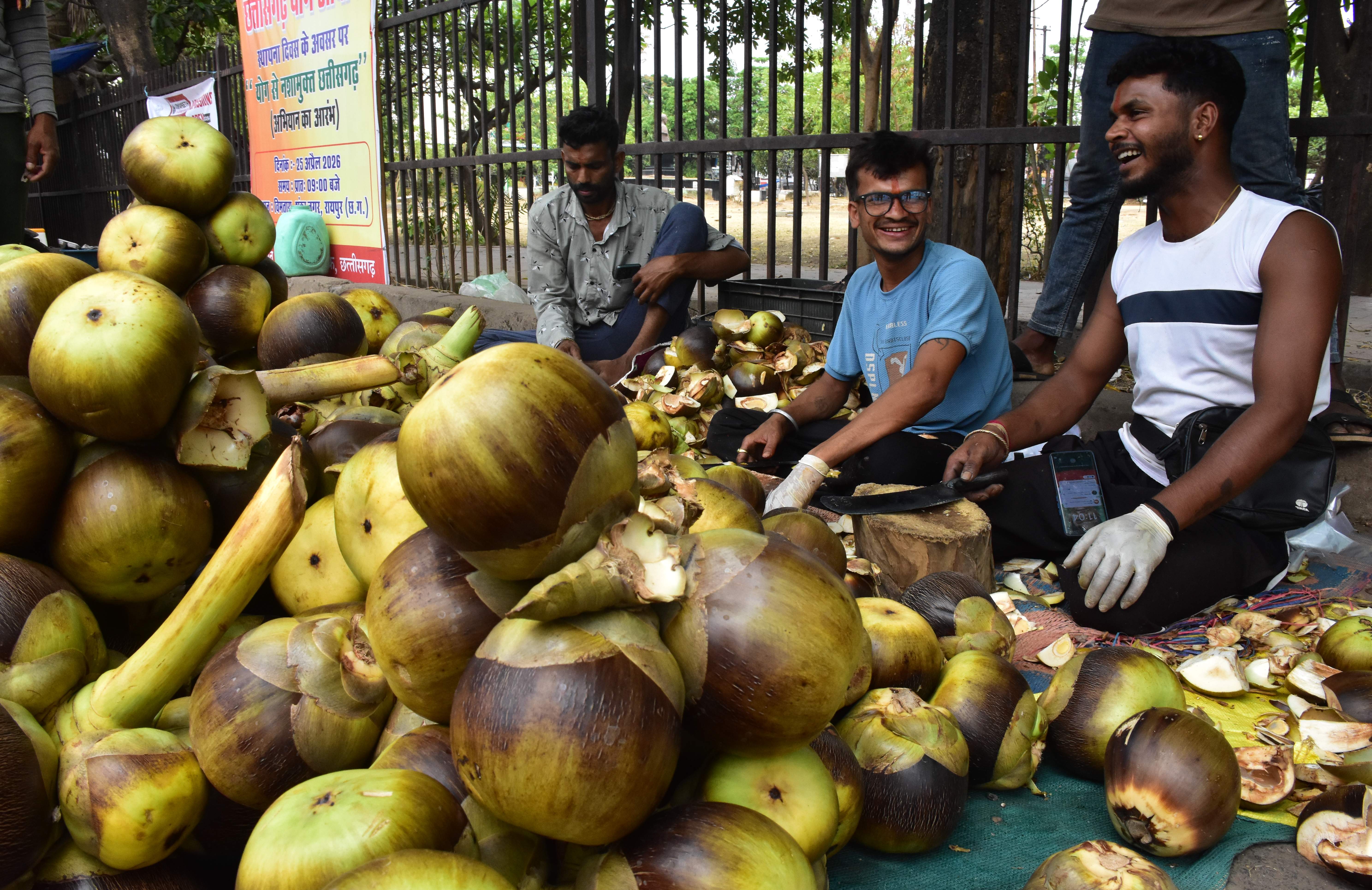 इन दिनों दक्षिण भारत के लोकप्रिय रसीले ताड़ के फल राजधानी में देखने को मिल रहे हैं। बताया जा रहा है कि ये व्यापारी पखांजूर से ताड़ का फल बेचने यहां आए हैं। इस फल की तासीर ठंडी और विटामिन से भरपूर होती है। जो गर्मियों में लाभकारी भी है। जिसे लोग काफी पसंद कर रहे हैं। तस्वीर / ‘छत्तीसगढ़’