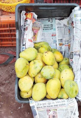 ये आम तो कतई न खाएं...
