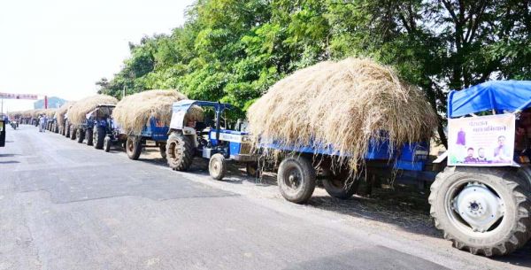 पैरा दान