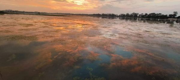 जगदलपुर शहर में आज शाम 4 से 6 बजे तक झमाझम बारिश हुई। इसके बाद मौसम सुहाना हो गया। यह तस्वीर दलपत सागर की है। तस्वीर / ‘छत्तीसगढ़’ / संतोष ठाकुर।