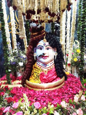 राजधानी समेत पूरे छत्तीसगढ़ में महाशिवरात्रि उत्साह से मनाया गया। महादेव घाट स्थित हटकेशवर नाथ महादेव मंदिर में भोले बाबा का अद्र्धनारिश्वर रूप में विशेष श्रृंगार किया गया। इस मौके पर शिव मंदिरों में दर्शन के लिए श्रद्धालुओं की भारी भीड़ उमड़ी।