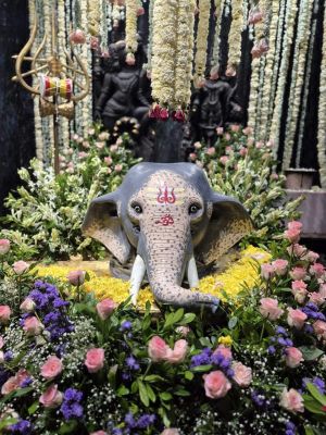 सावन के पहले सोमवार मंदिरों में उमड़े श्रद्धालु...