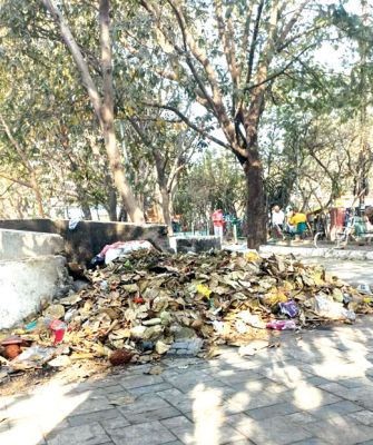 गार्डन और गंदगी ...
