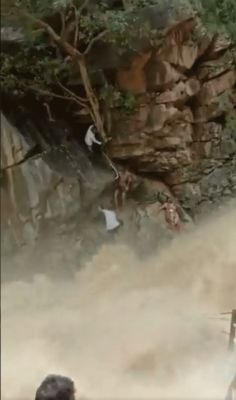 wow video : तमिलनाडु के सलेम जिले में अनाईवारी जलप्रपात में फंसी एक महिला और उसके छोटे बच्चे को बचाने के लिए वन कर्मचारी जान पर खेलते हुए ! 